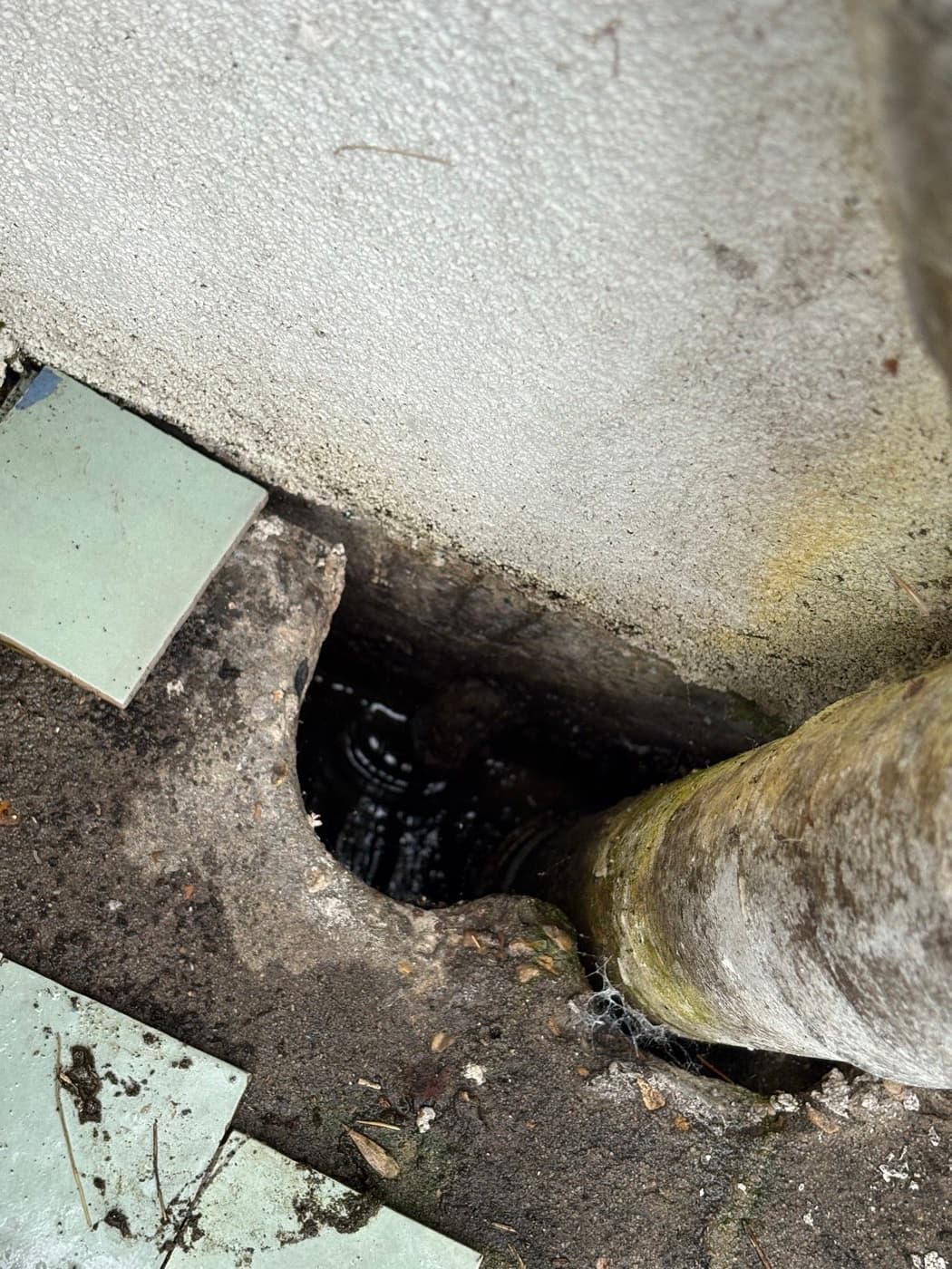 Débouchage d'une évacuation au furet à Chatou à Chatou - photo 4